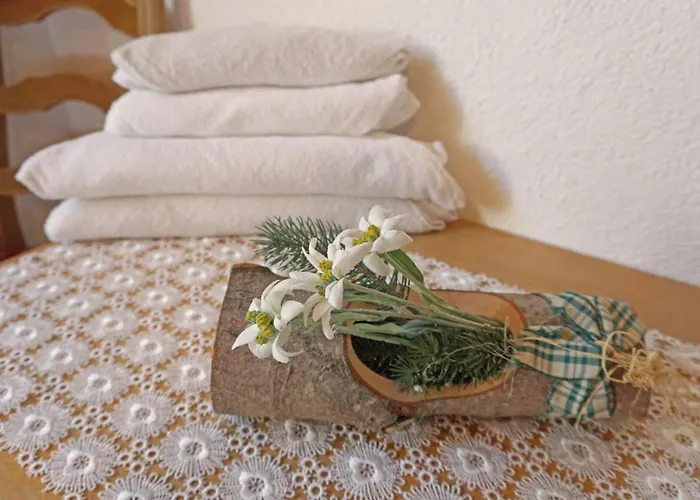 Alpenhof-1 By Interhome * Sinsen