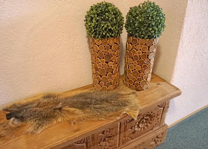 Lägenhet Alpenhof-1 By Interhome Sinsen