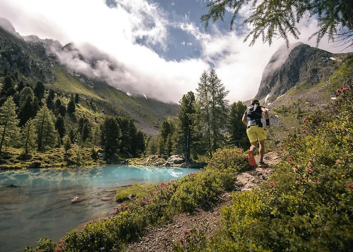 Lägenhet Alpenhof-1 By Interhome Sinsen