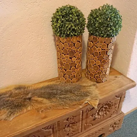 Apartmán Alpenhof-1 By Interhome Sinsen